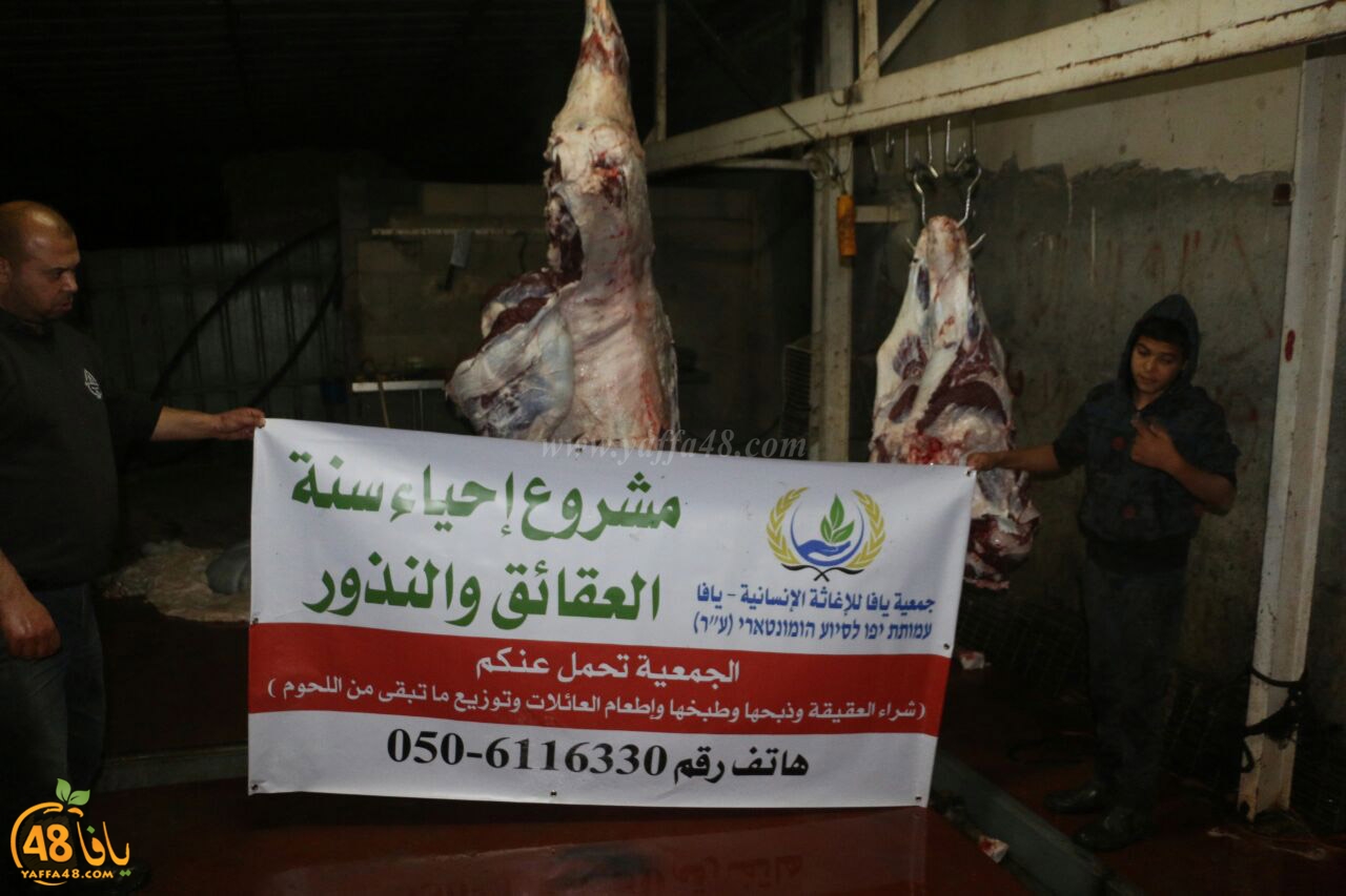 mashro3 ada7yau (2).jpg